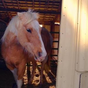 Meet your Posher, Nicole